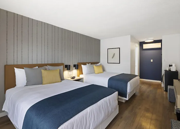 Standaard Kamer met een Queen Size Bed
