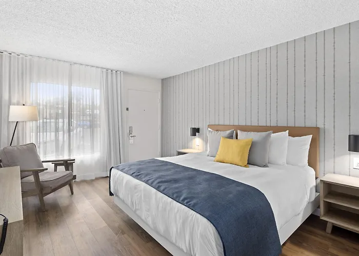 Standaard Kamer met een King Size Bed