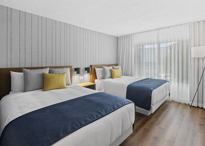Standaard Kamer met een Queen Size Bed