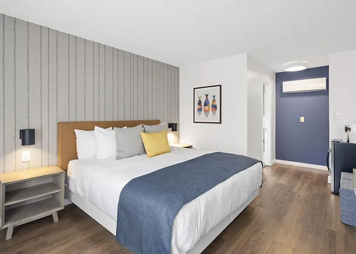 Kamer met een Queen Size Bed met de Toegang voor Gehandicapten