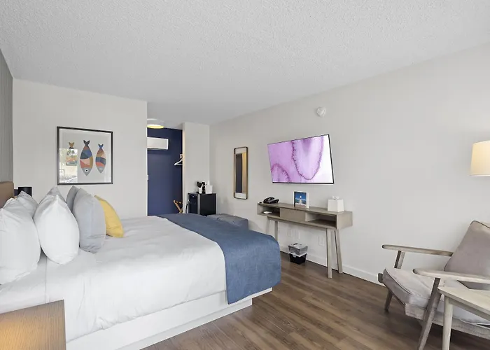 Kamer met een King Size Bed